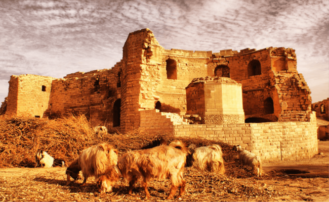 Harran Gezilecek Yerler