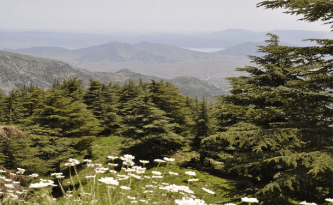 Islahiye Gezilecek Yerler