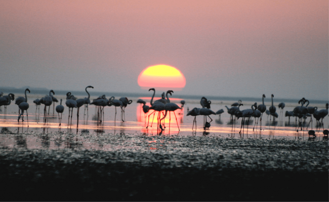 Mucur Gezilecek Yerler