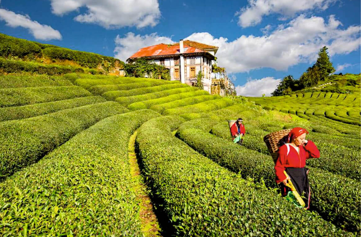 Rize Gezilecek Yerler