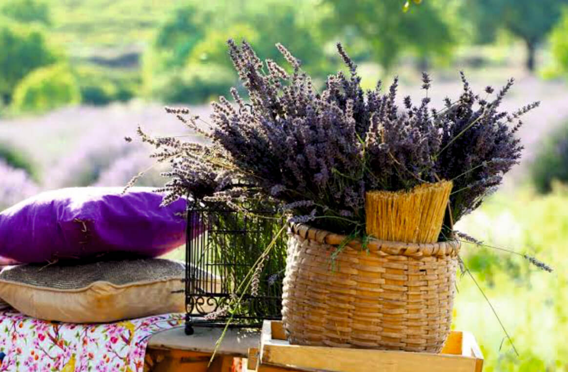 Isparta Gezilecek Yerler