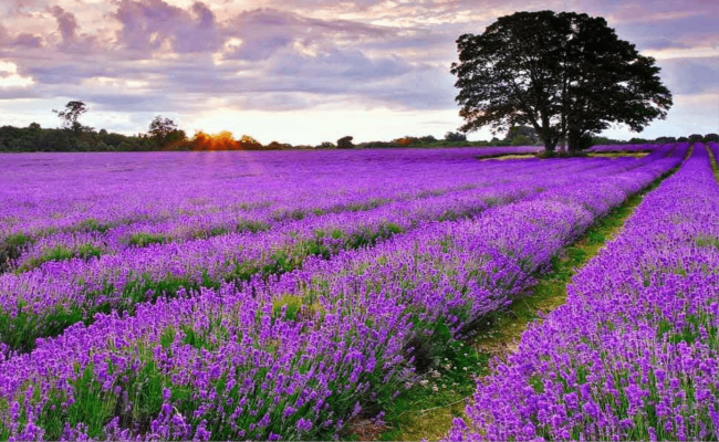 Keçiborlu Gezilecek Yerler