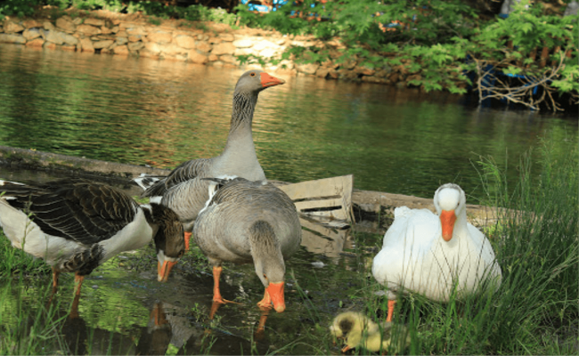 Doğanşehir Gezilecek Yerler