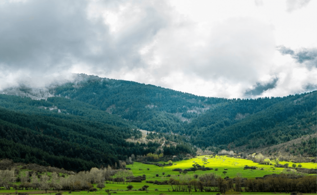 Refahiye Gezilecek Yerler
